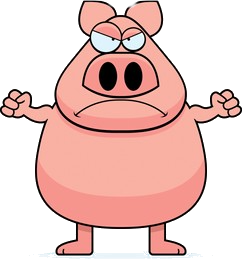 Pig