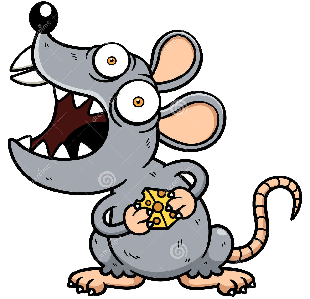 rat